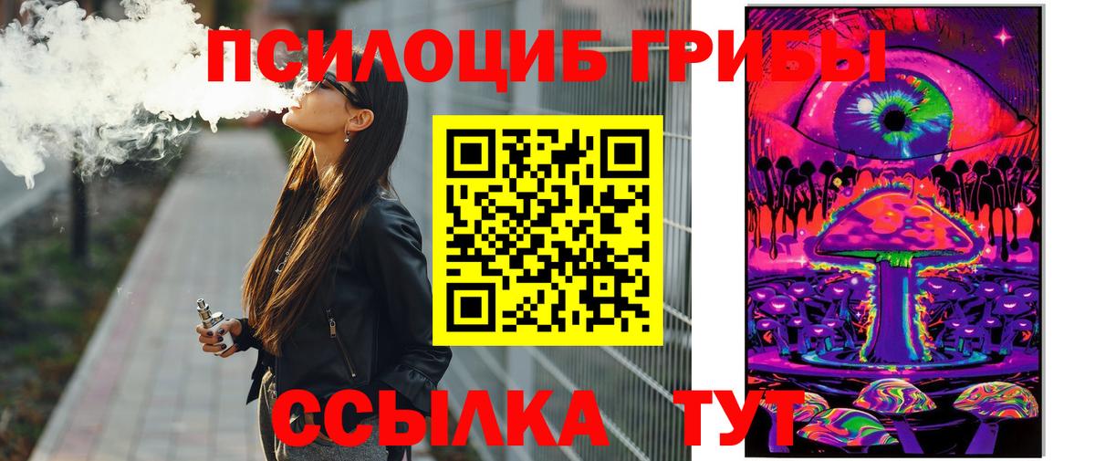 Долгопрудный  Галлюциногенные грибы GOLDEN TEACHER  Вход с VPN 
